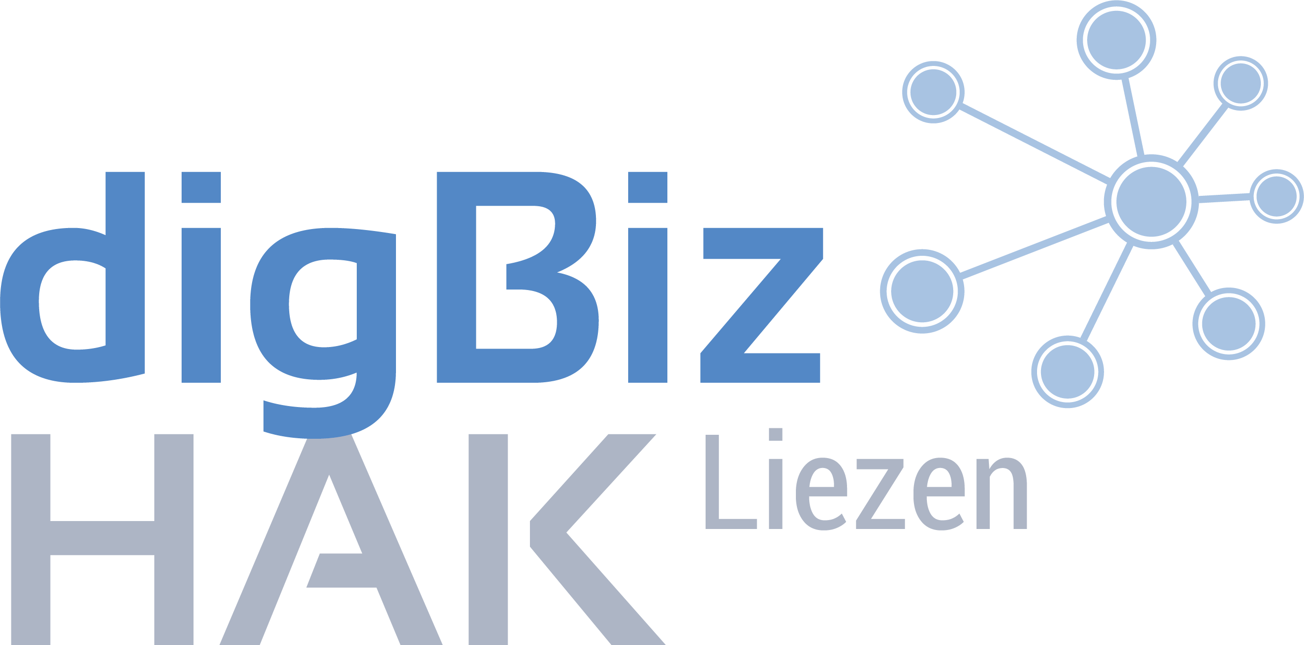digBiz